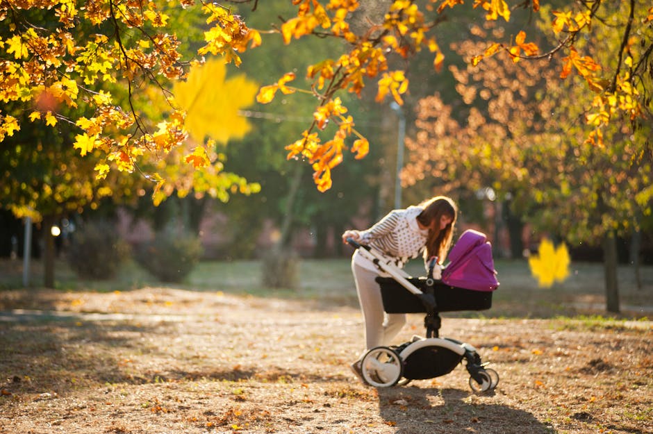 Family-Friendly Destinations for Every Season