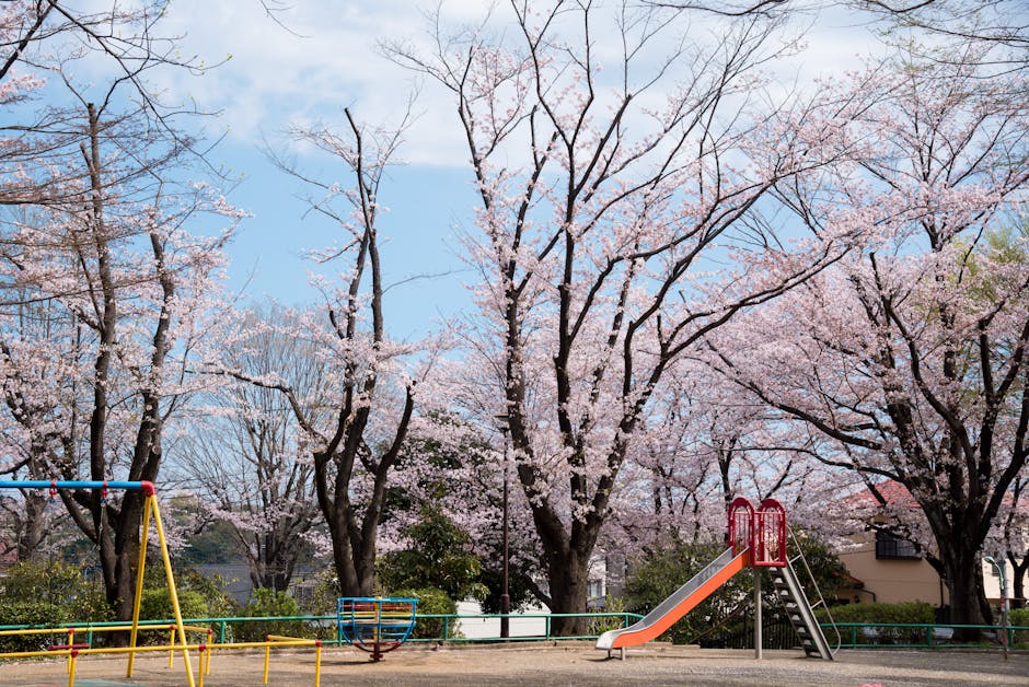 Family-Friendly Destinations for Every Season
