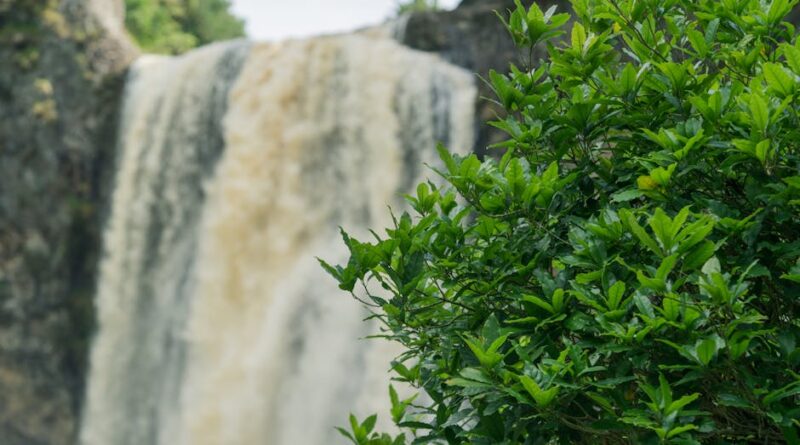 Last Minute Vacations: Explore New Destinations