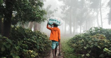 Best Budget Travel Blogs to Follow