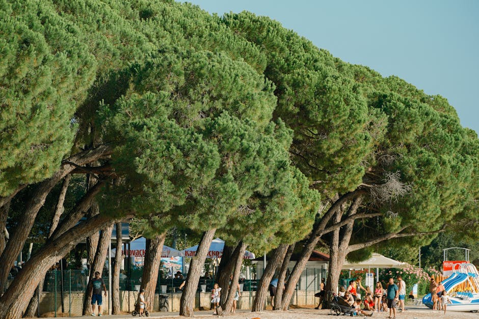 Best Family Vacation Spots Revealed