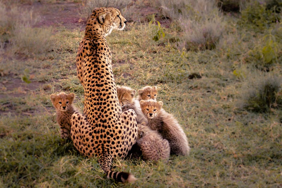 Best Family Vacation Spots Revealed