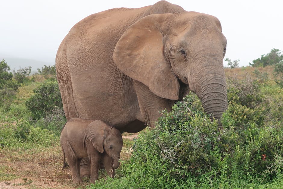 Family Travel: Save Big on Vacations