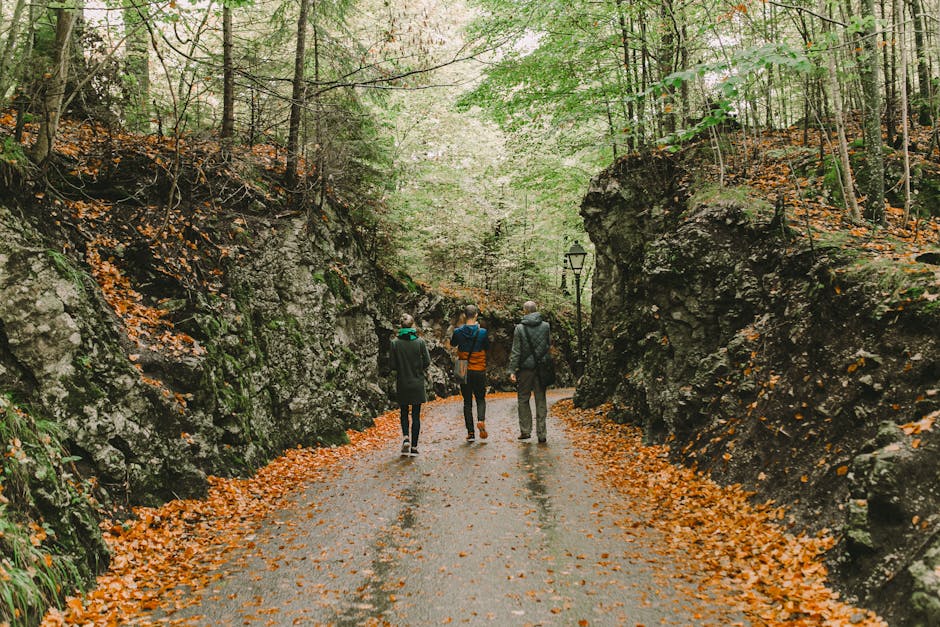 Family Travel: Save Big on Vacations