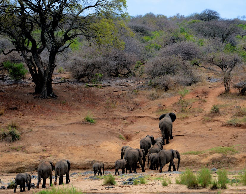 Family Travel: Save Big on Vacations